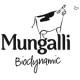 MUNGALLI DAIRY BIODYNAMIC MUNGALLIO CHEESE 400G