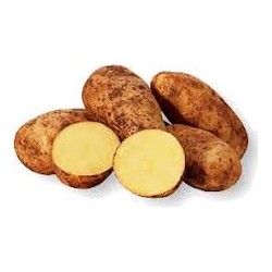 POTATO DUTCH CREAM