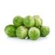 BRUSSEL SPROUTS