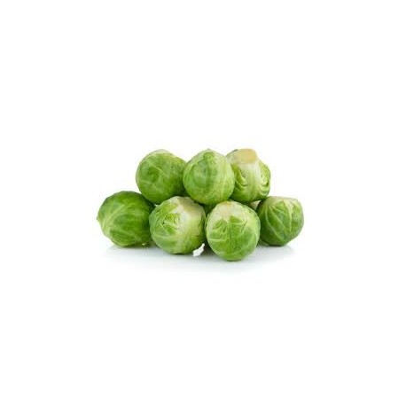 BRUSSEL SPROUTS