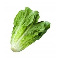 COS LETTUCE