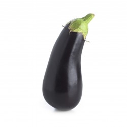 EGGPLANT