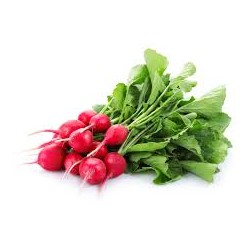 RADISH BUNCH