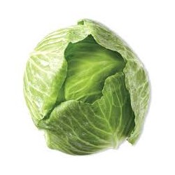 CABBAGE GREEN WHOLE