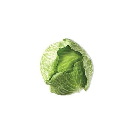 CABBAGE GREEN WHOLE