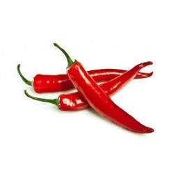 CHILLIES