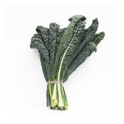 KALE BLACK