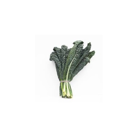 KALE BLACK