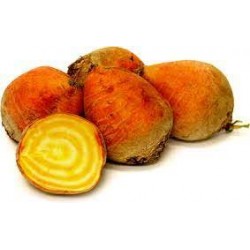 GOLDEN BEETROOT