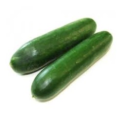 LEBANESE CUCUMBER