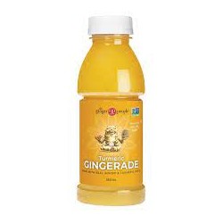 THE GINGER PEOPLE TURMERIC GINGERADE 360ML