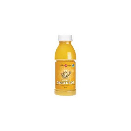 THE GINGER PEOPLE TURMERIC GINGERADE 360ML