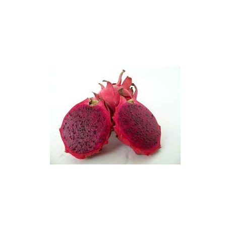 LOCAL SPRAY FREE DRAGON FRUIT RED