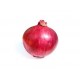 ONION RED