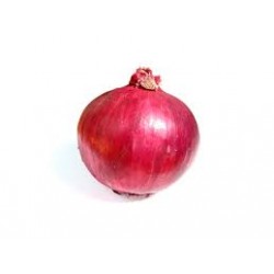 ONION RED