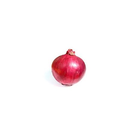 ONION RED