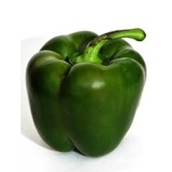 CAPSICUM GREEN KG