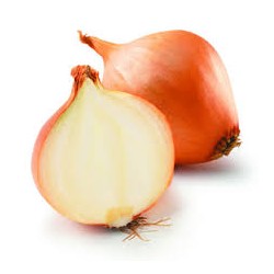 ONION BROWN