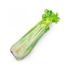 CELERY HALF