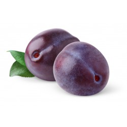 PLUMS