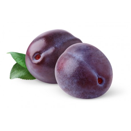 PLUMS