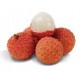 LYCHEE