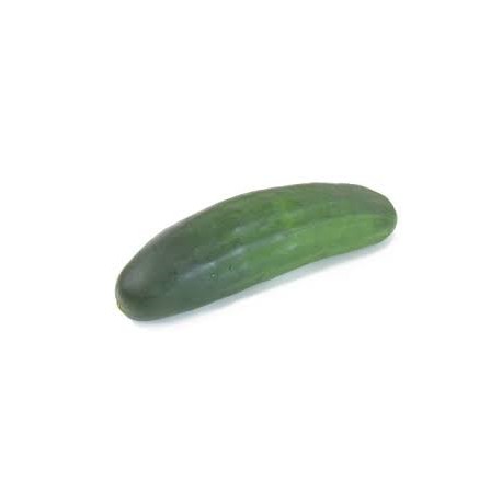 CUCUMBER GREEN