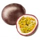 PASSIONFRUIT