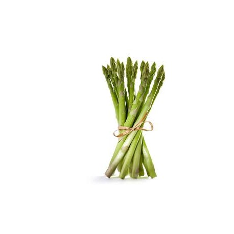 ASPARAGUS BUNCH