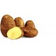 POTATO DUTCH CREAM 800G