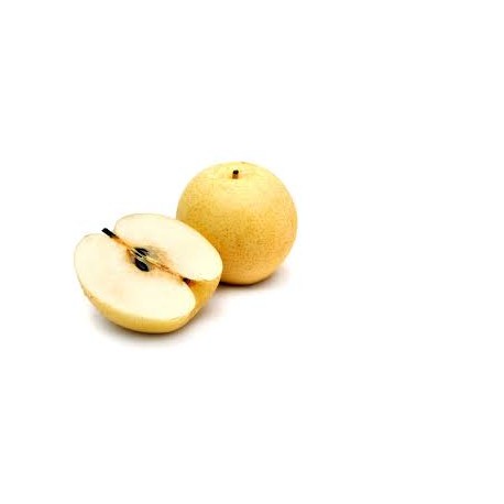 PEAR NASHI