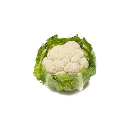 CAULIFLOWER WHOLE