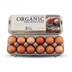 ELLERSLIE XL EGGS 12PK 700G