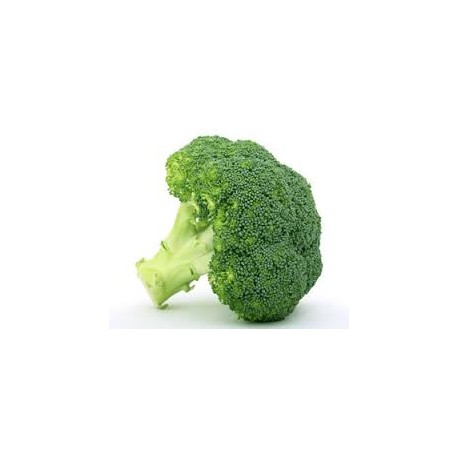 BROCCOLI