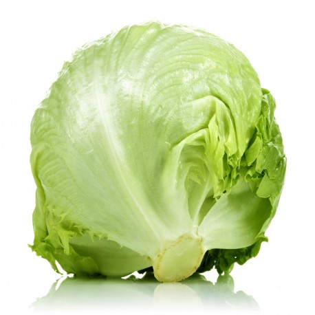 LETTUCE ICEBERG