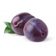 PLUMS