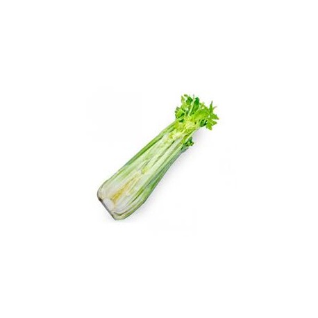 CELERY HALF